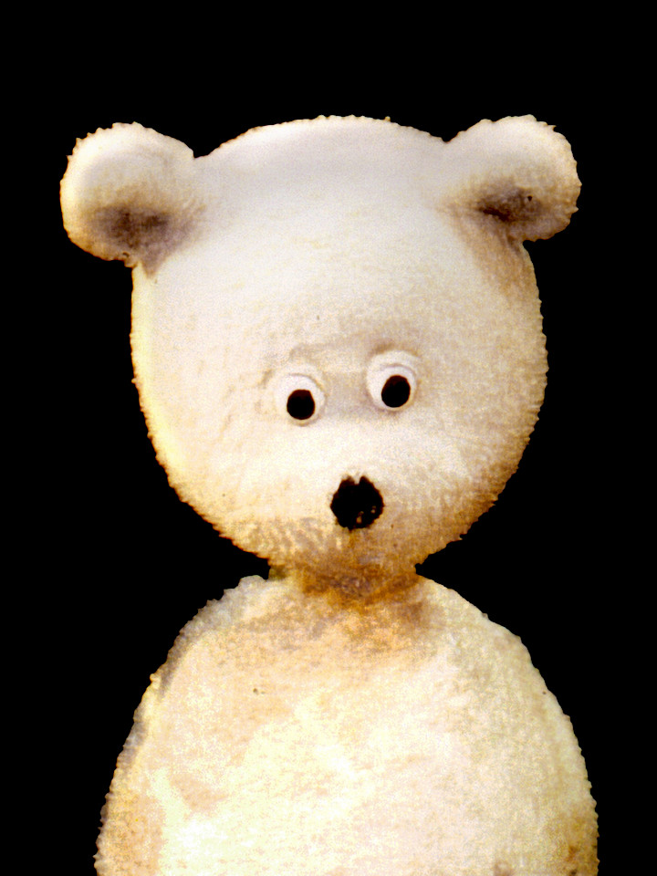 Der kleine Eisbär