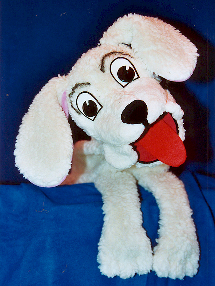 Bello, dein Knochen ist weg!