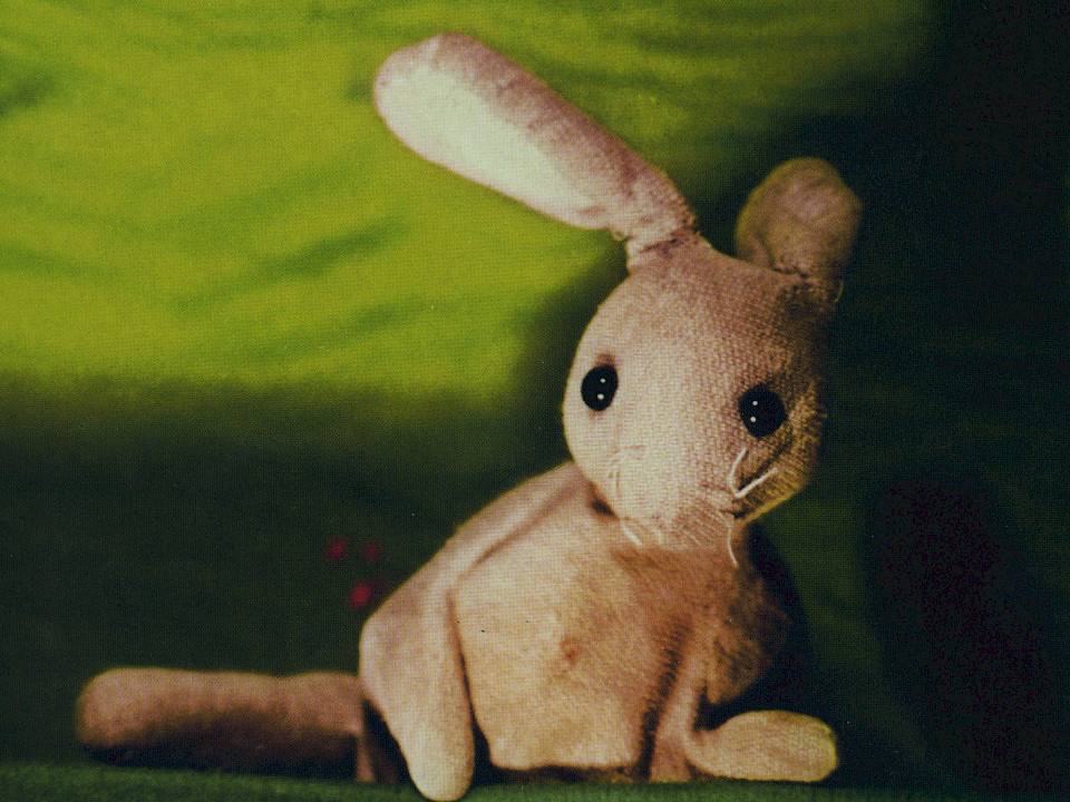 Der Hase Hopsi Topsi