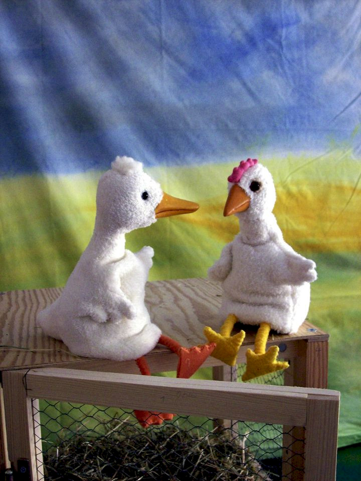 Hühnerei und Entengrütze