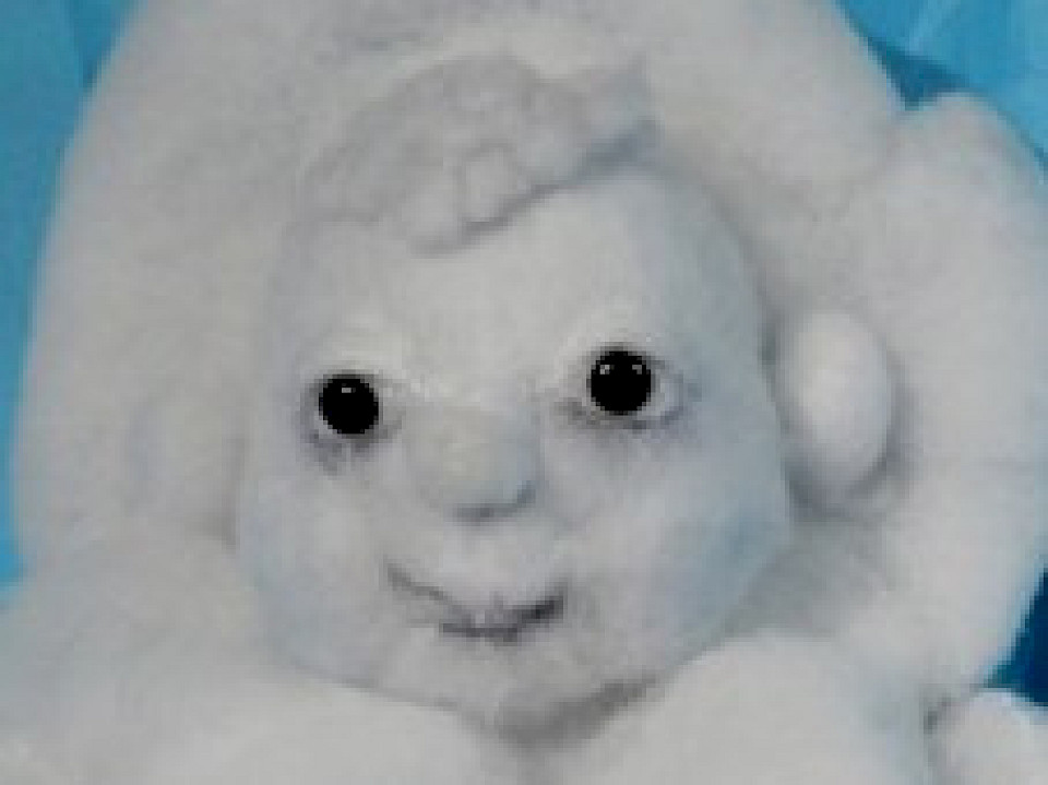 Kleine wilde Wandelwolke