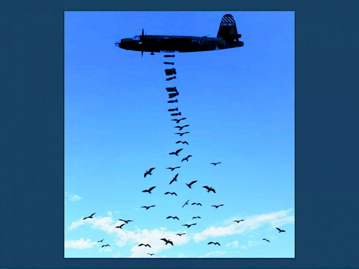 нет войны    No War !