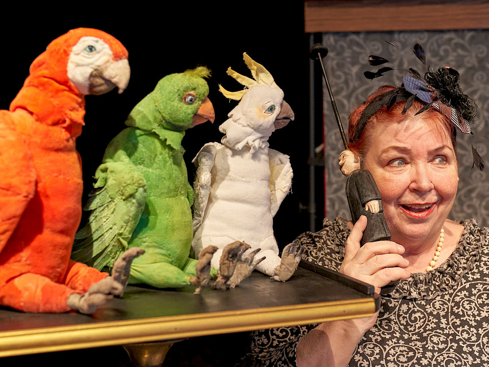 Polly und ihre Papageien