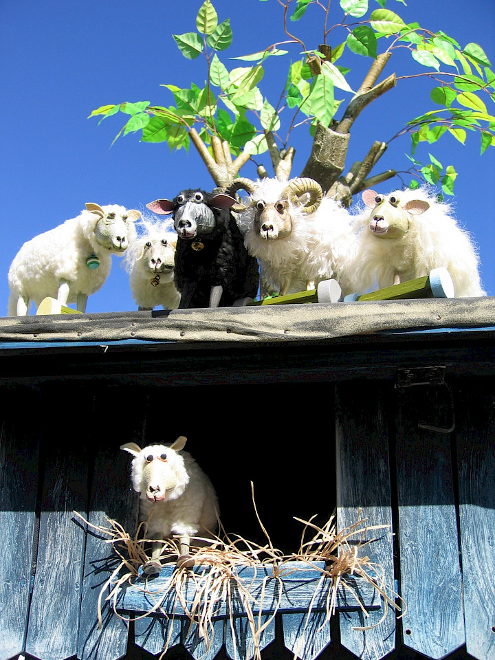 Schwarze Schafe leben besser