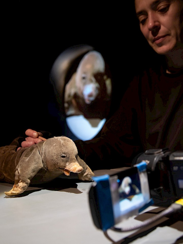 Als die Tiere den Wald verließen