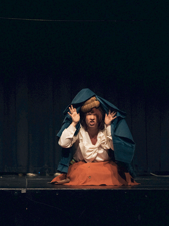 Die Schnecke und der Buckelwal