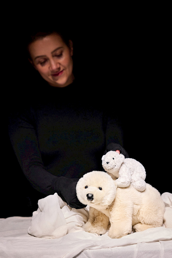 Kleiner Eisbär, wohin fährst du?